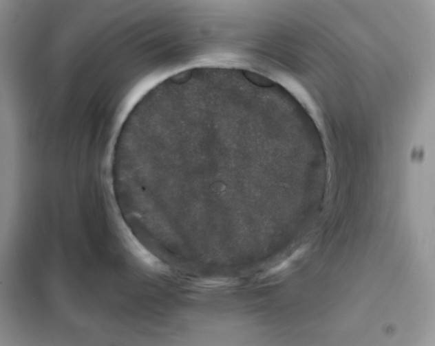 X0000101981344200808011051