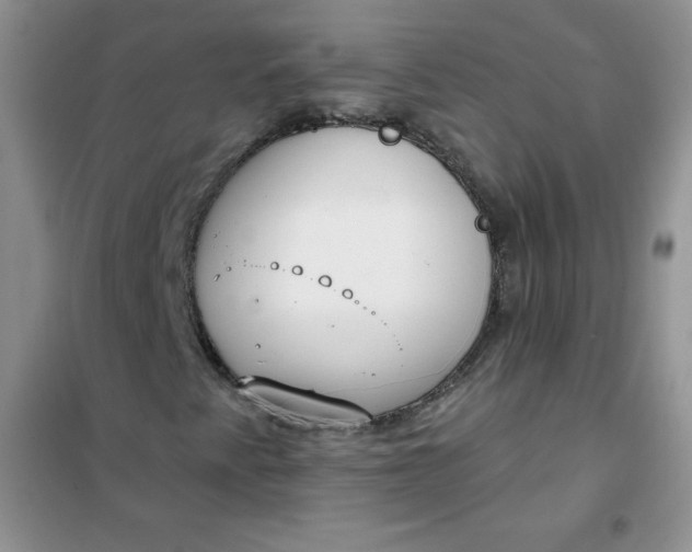 X0000101981345200808011050