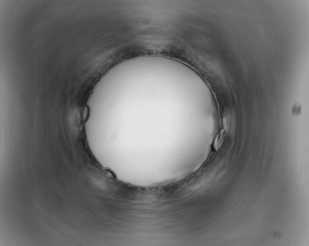 X0000101981347200808011050