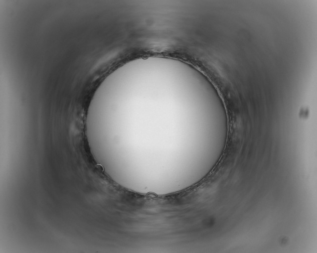 X0000101981349200808011050