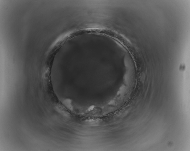 X0000101981351200808011050