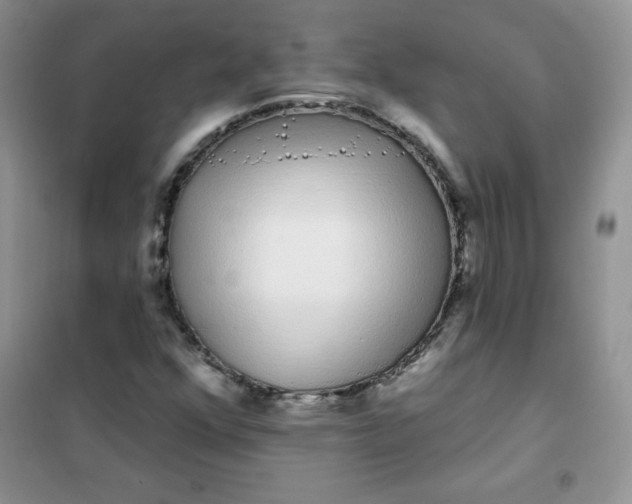 X0000101981352200808011050