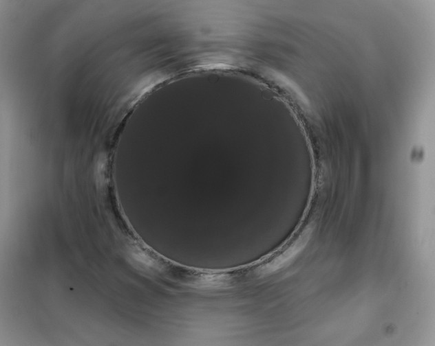 X0000101981353200808011050