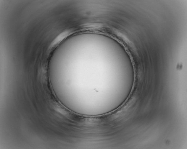 X0000101981354200808011050