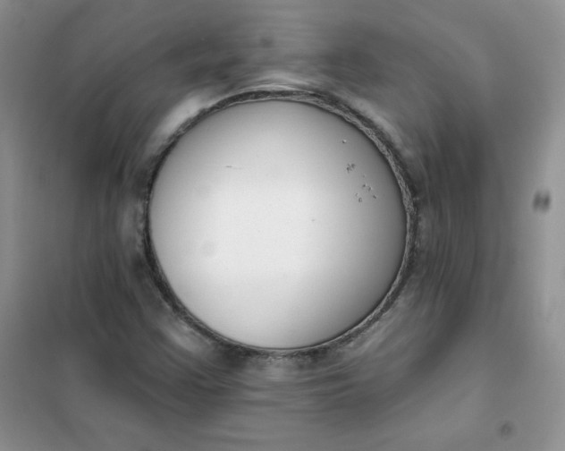 X0000101981355200808011050