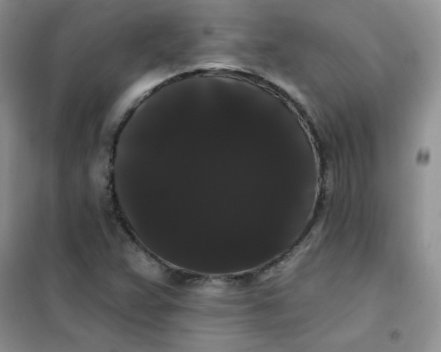 X0000101981359200808011050