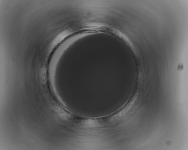 X0000101981362200808011050