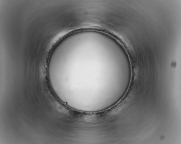 X0000101981363200808011050