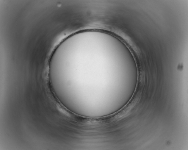 X0000101981366200808011050