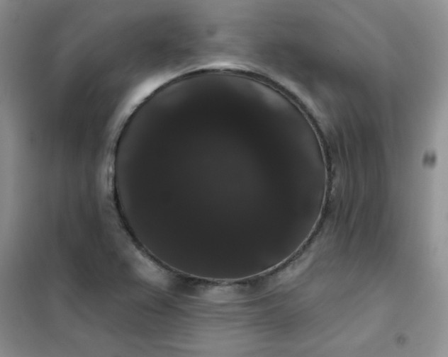 X0000101981367200808011050