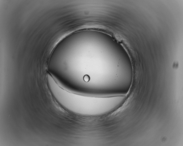 X0000101981369200808011050