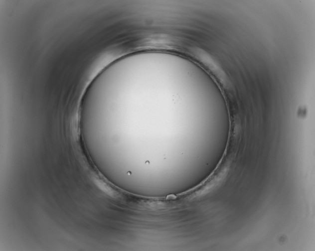 X0000101981370200808011050