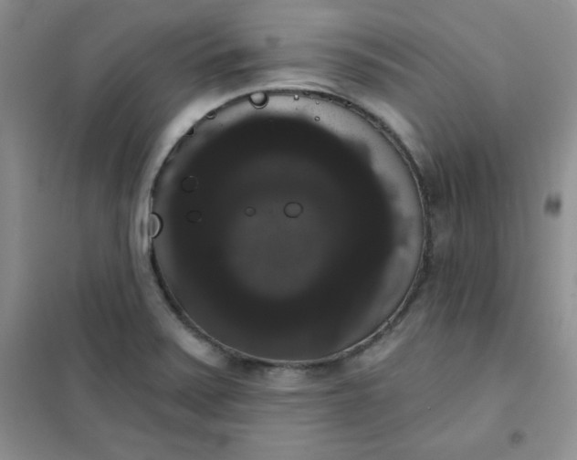 X0000101981371200808011050