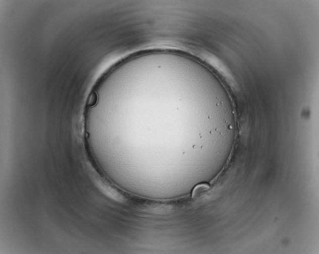 X0000101981372200808011050