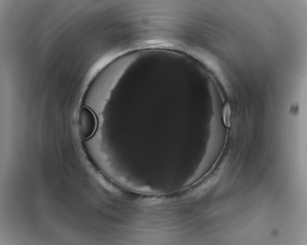 X0000101981373200808011050