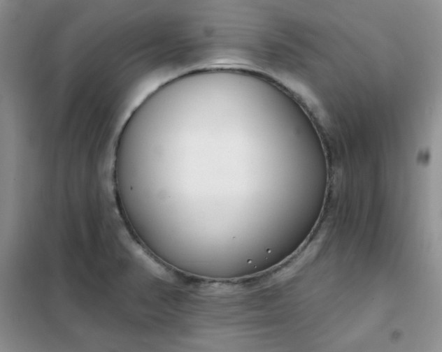 X0000101981374200808011050