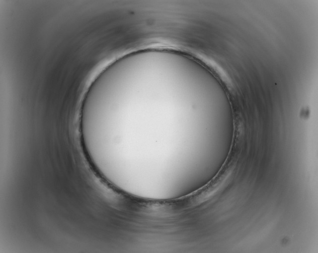 X0000101981375200808011050