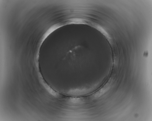 X0000101981378200808011050