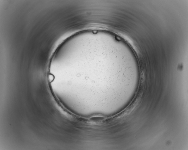 X0000101981379200808011050