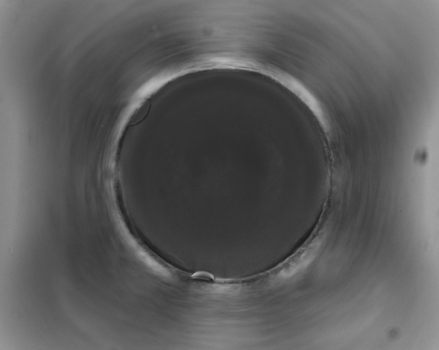 X0000101981381200808011050