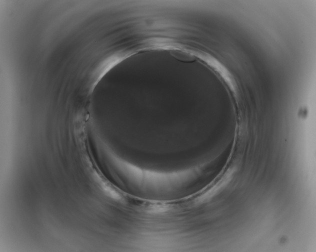 X0000101981385200808011050