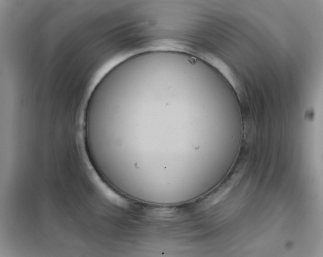 X0000101981387200808011050