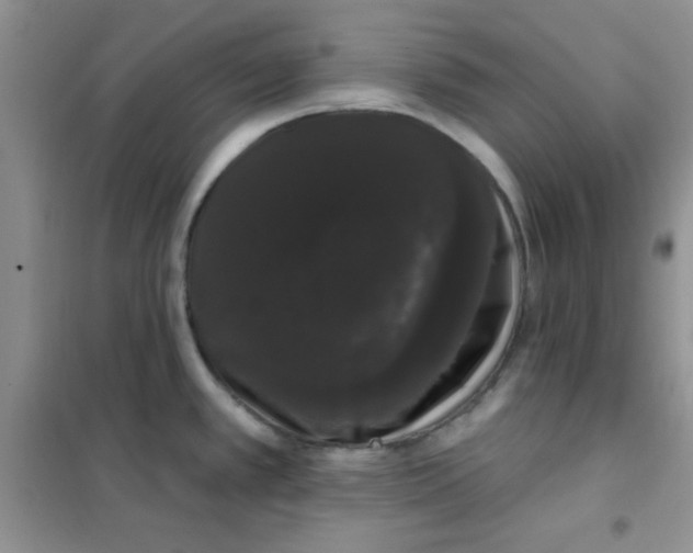 X0000101981389200808011050