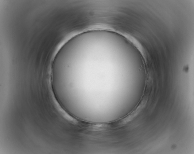 X0000101981390200808011050