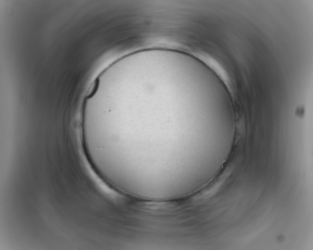 X0000101981391200808011049