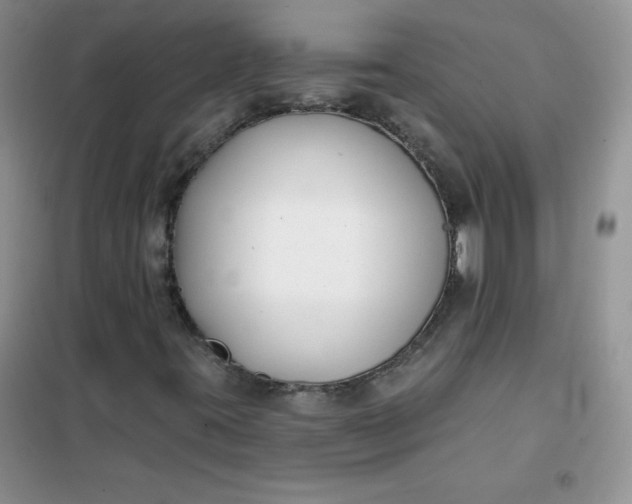 X0000101981395200808011049