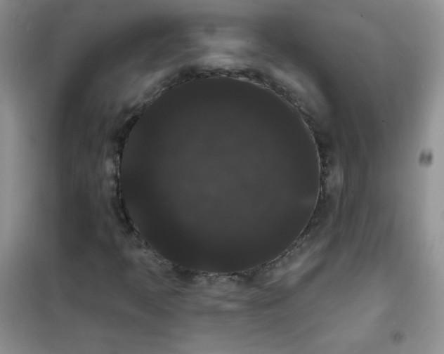 X0000101981397200808011049