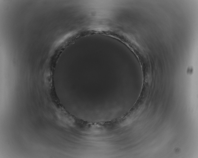 X0000101981398200808011049