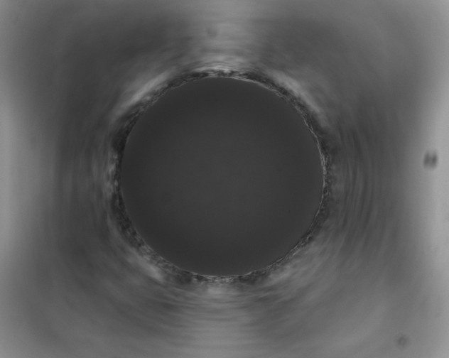 X0000101981399200808011049