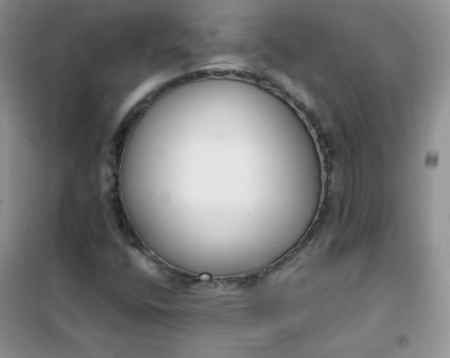 X0000101981400200808011049