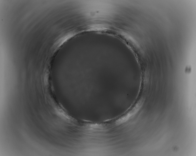 X0000101981401200808011049