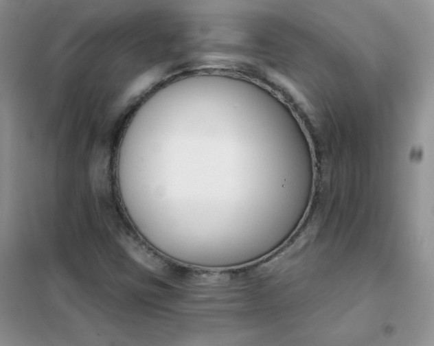 X0000101981403200808011049