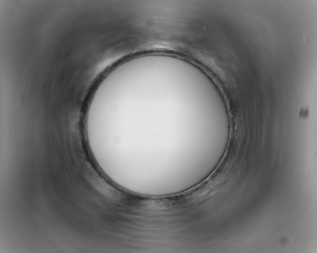 X0000101981404200808011049