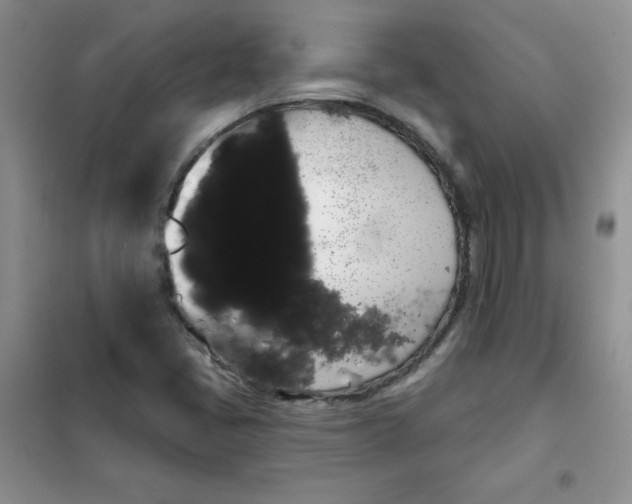 X0000101981405200808011049