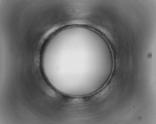 X0000101981406200808011049