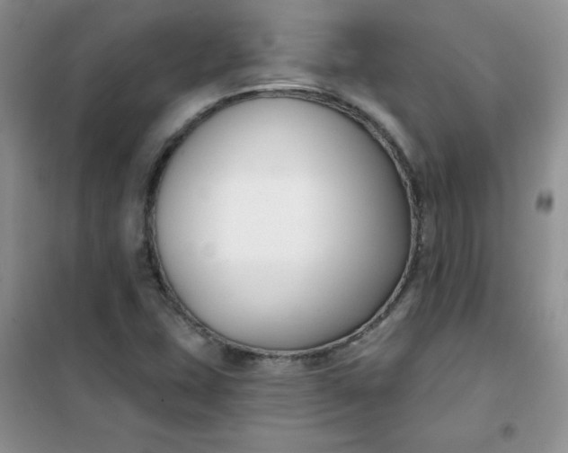 X0000101981407200808011049