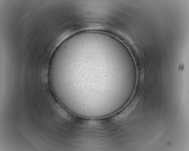 X0000101981409200808011049