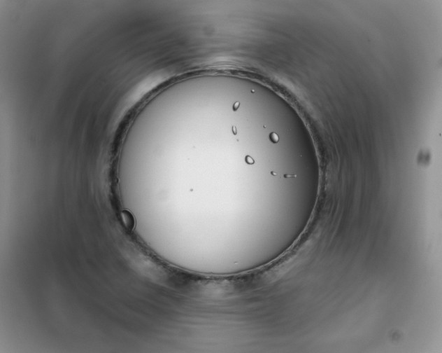 X0000101981410200808011049