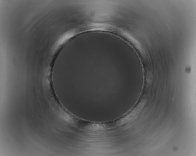 X0000101981411200808011049