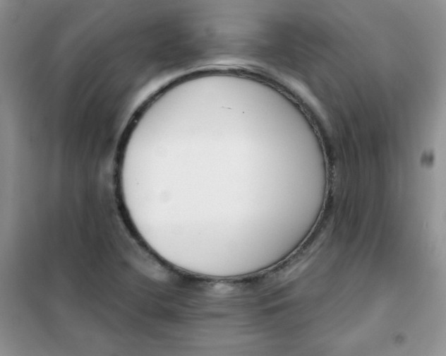 X0000101981412200808011049