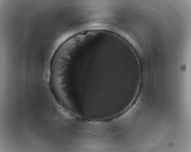 X0000101981413200808011049