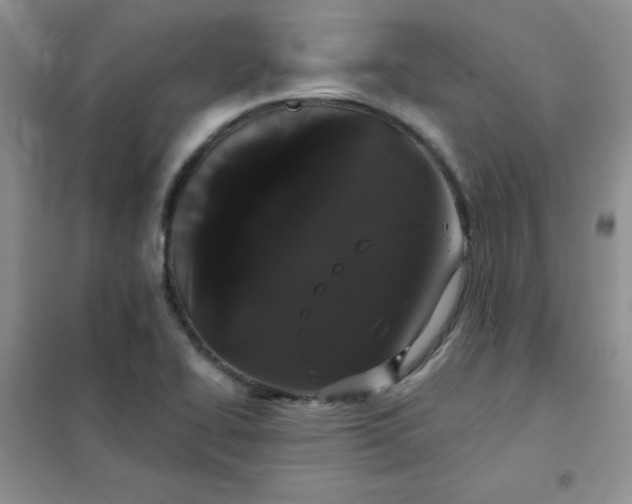 X0000101981414200808011049