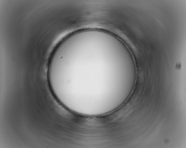 X0000101981416200808011049