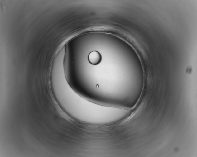 X0000101981417200808011049