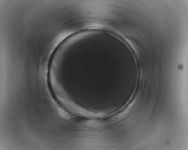 X0000101981418200808011049