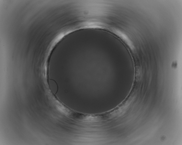 X0000101981419200808011049